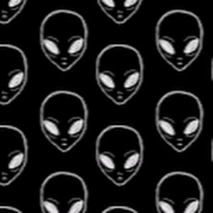 Meet your Posher, Bailey